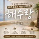 감성커피충무대로점 | 부산 송도 찜질방 추천 | 해수랑 신축 사우나 솔직 후기