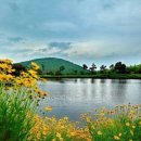 금릉현대 이미지