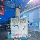 베이(bay) | 아이와 푸켓 돌핀스 베이(Dolphins Bay Phuket) VVIP석 직관 후기