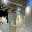 더마음모리 | 드레스투어 솔직 후기 | 알렉산드라, 모리엠포티 비교 후 최종 선택한 이유, 제이웨딩제휴