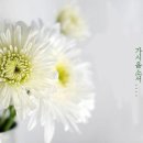 장례예식장(보건의료원) 이미지