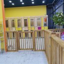 플러스애견미용실 이미지