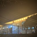 팔공산오리 이미지