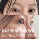 노*업 | 셀프 속눈썹펌 망함? 노글루롯드로 해결! 모뉴 리얼업 셀프 속눈썹펌 키트 유지력 솔직 후기