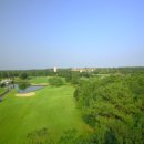 크라운CC 이미지