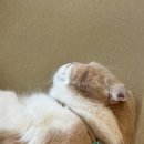 산호오락실 이미지