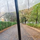 대월놀이공원 이미지