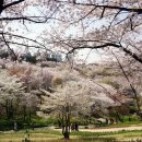 숲속쉼터 이미지