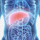 강남 옵티마 정약국 이미지