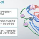 업프로짐 이미지