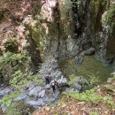 팡팡랜드 이미지