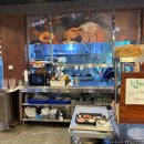마이스터심슨 부대찌개 중대물빛공원점 | 경기 광주 마이스터심슨부대찌개 중대물빛공원점 부대찌개 닭갈비 맛집