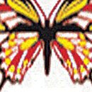 이지플라워 이미지