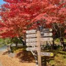 용의발광장 이미지