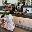 낭만 Dog 이미지