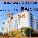 수원-0439 Daum카페