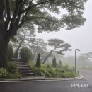 광주리 | 아시아나CC 골프라운딩 후기 ⛳｜용인 광주리들밥까지 완벽한 하루
