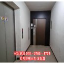 칠괴 우림필유 이미지