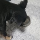 다대동물병원 이미지