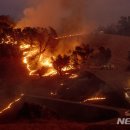 캘리포니아 산불에 약 9만명 대피..최대 200만명에 전기공급 중단 이미지