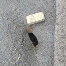 동해특수이송 이미지