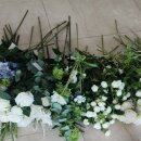 콘서트374 이미지