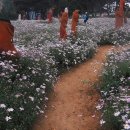 또다른이야기 이미지