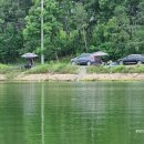 자인대물낚시 이미지