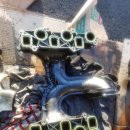 장일카센타 이미지