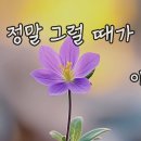 정말 그럴 때가 - 이 어 령 이미지