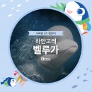 하얀고래 이미지