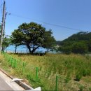 설리해수욕장펜션 이미지