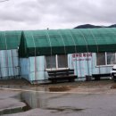 삼부자미나리 이미지