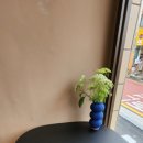 쪼륵(zzorc)