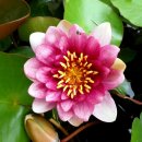 오늘은 뭘 먹지 건강밥상 이미지