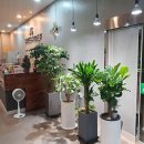 JS스크린골프연습장 이미지