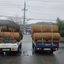 증포타이어 이미지