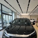 4575 | 대전 BYD 씨라이언7,아토3 시승후기