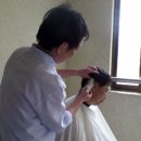 정성이용원 이미지