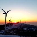 삼양목장 이미지