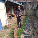 강림이용소 이미지