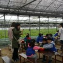 압구정아람어린이집 이미지