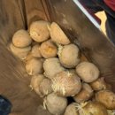 신정농장 이미지