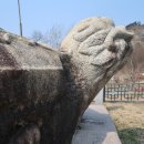 무양동 석조귀부 | 상주 무양동 석조귀부