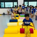 리틀 키즈 태권도장 이미지