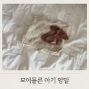새실로 | 아기옷 브랜드 모이몰른 매장 여자 아기 양말 구입 후기