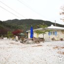 왕피천관광농원 이미지