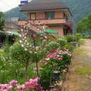 옥천민박 이미지