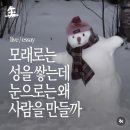 추구미