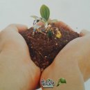 우리기술개발주식회사 - 장흥군 | 우리기술개발주식회사
